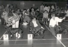 kc malden 3